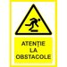 Placuta atentie la obstacole